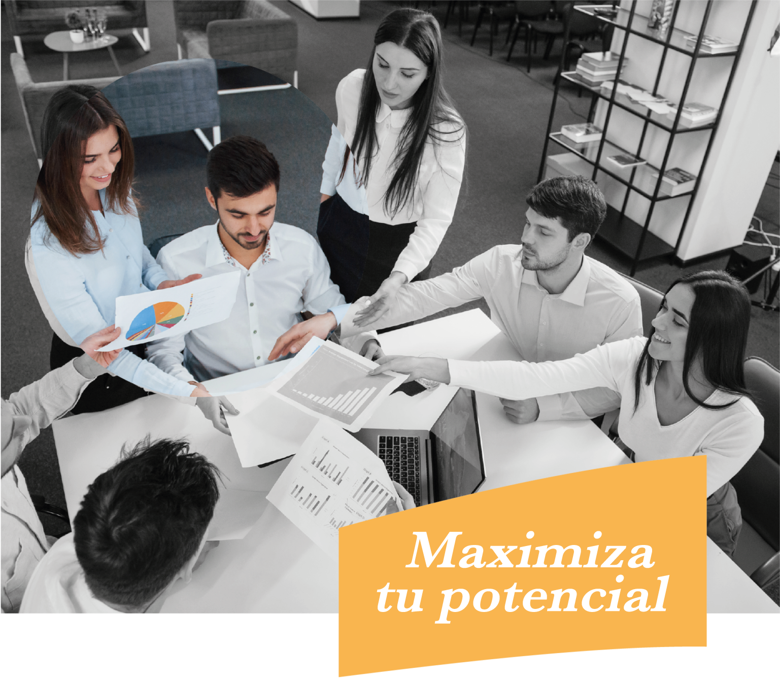 IDV - Maximiza tu potencial